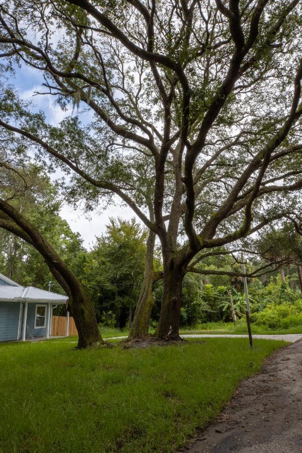 Recharge Getaway To Historic Downtown & Beach New Build St. Augustine Extérieur photo